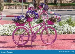 Giro d'Italia femminile 2026